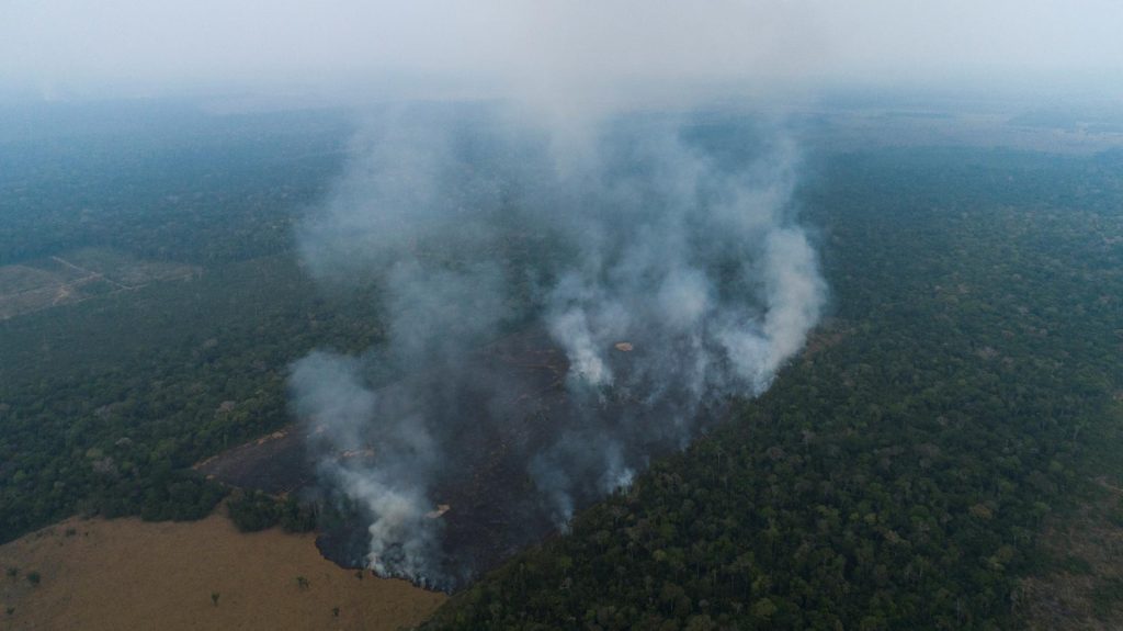 En 38 años, Brasil quemó un área del tamaño de Colombia y Chile