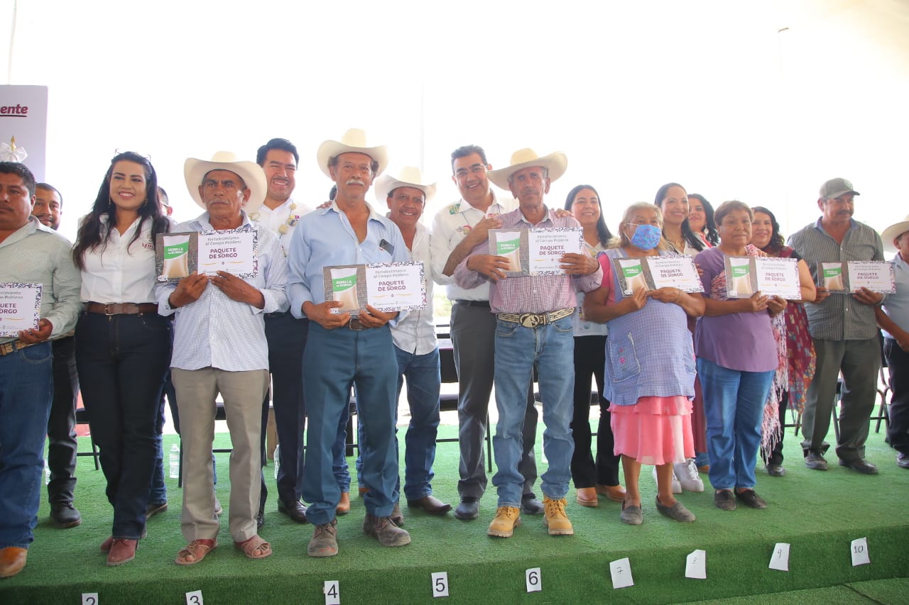 En la Mixteca, se apoyará la producción de agave mezcalero, indicó el gobernador