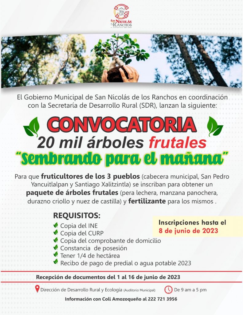 Desde San Nicolás de los Ranchos: Obtén tu paquete de árboles frutales