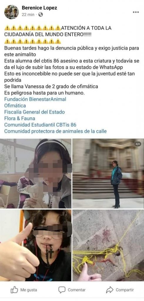 Indignación generalizada por presunto asesinato de un perrito en Huauchinango