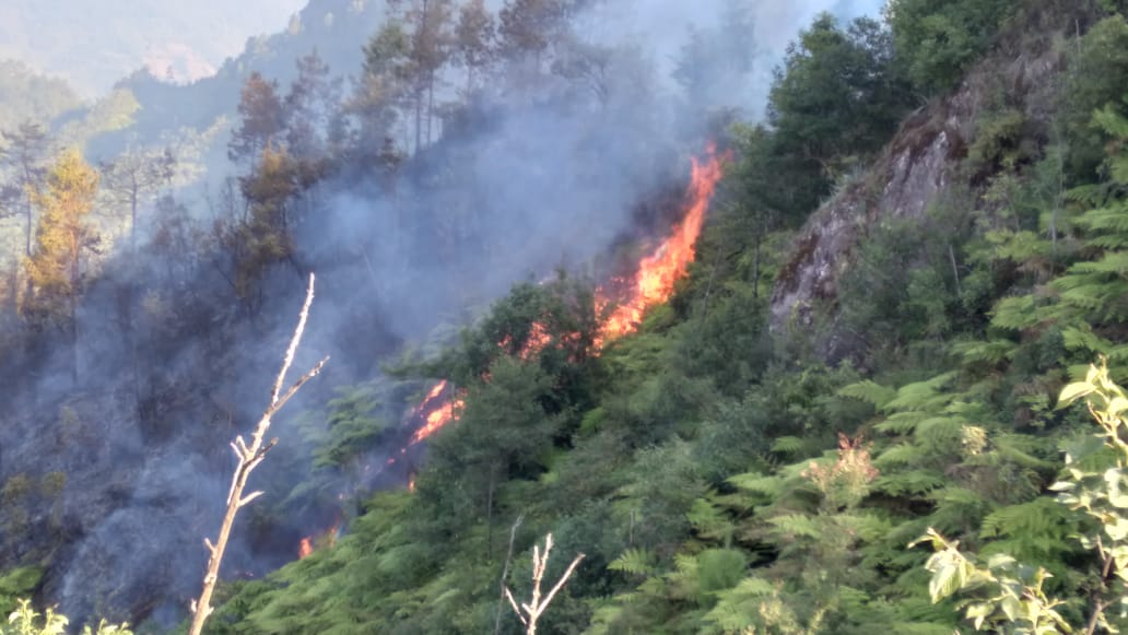 Sin controlar, incendio forestal en Zacatlán