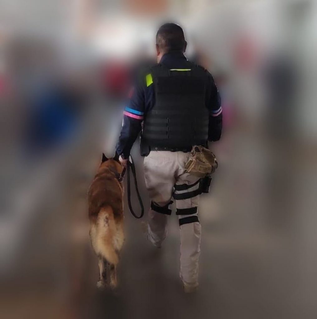 Confiscan 22 kgs de cocaína en Puebla capital