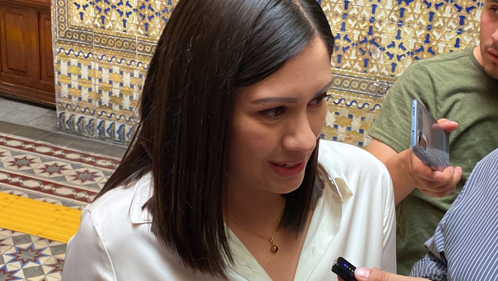 Confirma presidenta del IEE denuncias por bardas de políticos 