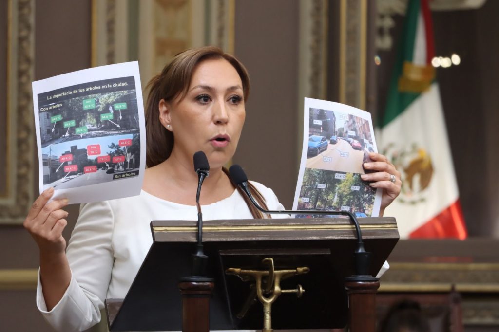 En el Congreso local, diputada del PAN propone una ley “antiarabian”
