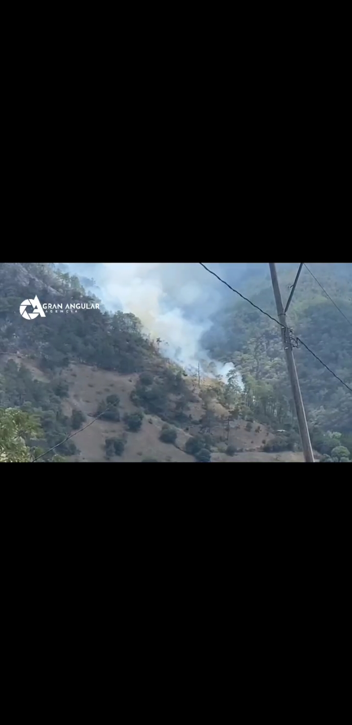 Fotonota: Al menos 13 viviendas y 300 hectáreas afectadas por incendio forestal en Zacatlán