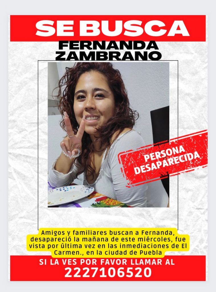 Buscan a madre de familia presuntamente desaparecida en la zona de El Carmen