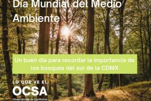 Conservar los pulmones de la CDMX, el desafío en zonas boscosas de zona sur