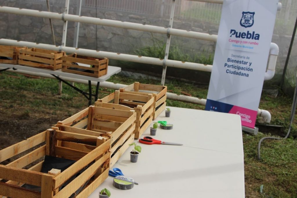 Ayuntamiento de Puebla invita a vivir un verano agroecológico