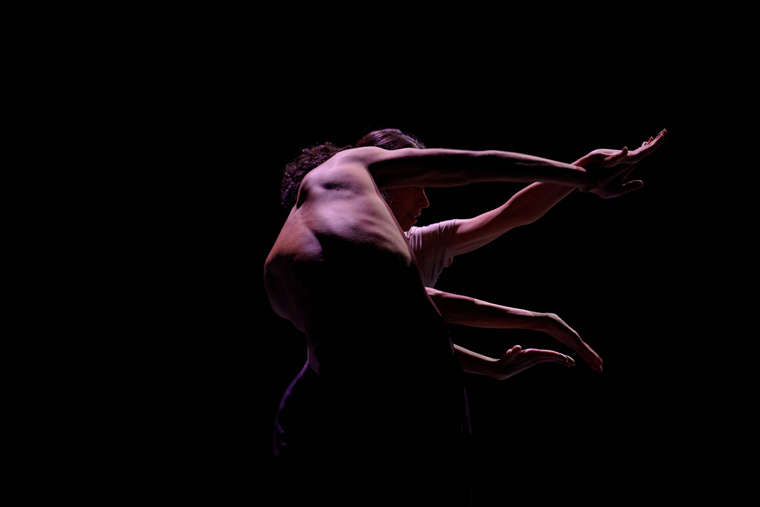 Con cinco coreografías, entre ellas un estreno mundial, regresa la Compañía Nacional de Danza al Palacio de Bellas Artes