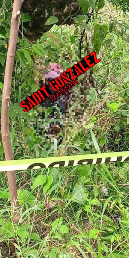 Hallan cadáver de una mujer a orillas de la carretera en Jalpan