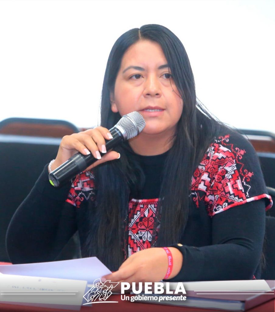 Anuncian programas de Impulso Agave Mezcalero en Puebla