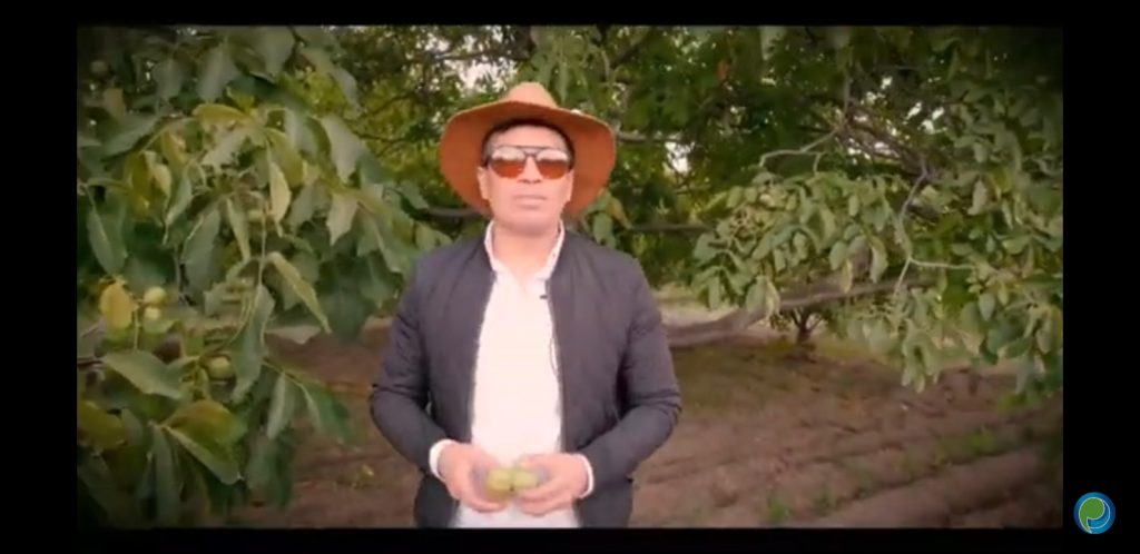 Video desde Puebla: Falta pocos días para el festival Chile en Nogada San Nicolás de los Ranchos 2023