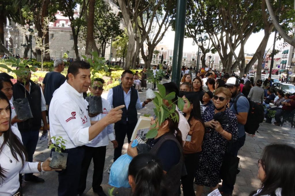 Armenta entrega árboles en el Centro Histórico