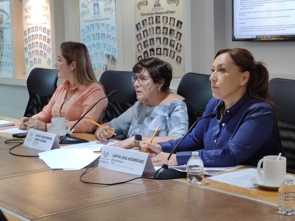 Informa Comisión del Congreso sobre convocatoria para la consulta en materia de movilidad y seguridad vial