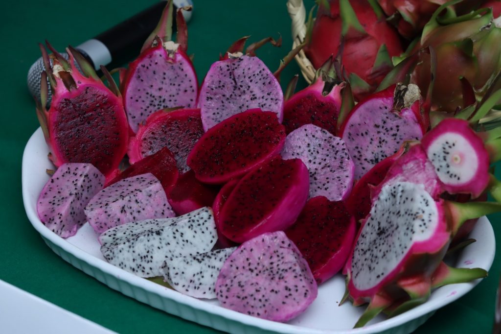 Presentan en el Congreso del Estado la cuarta edición de la Expo Feria Agroartesanal de la Pitahaya de Santa Clara Huitziltepec