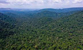 La NASA quiere colaborar con Brasil en la vigilancia de la Amazonia