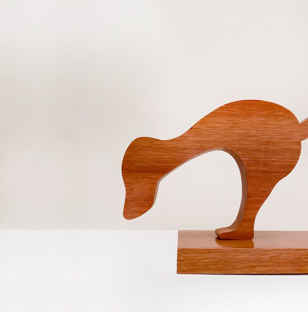 Este verano “Zoológico imaginario” en el Museo Federico Silva