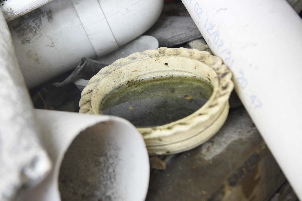 Reportan 42 casos nuevos de dengue en Puebla