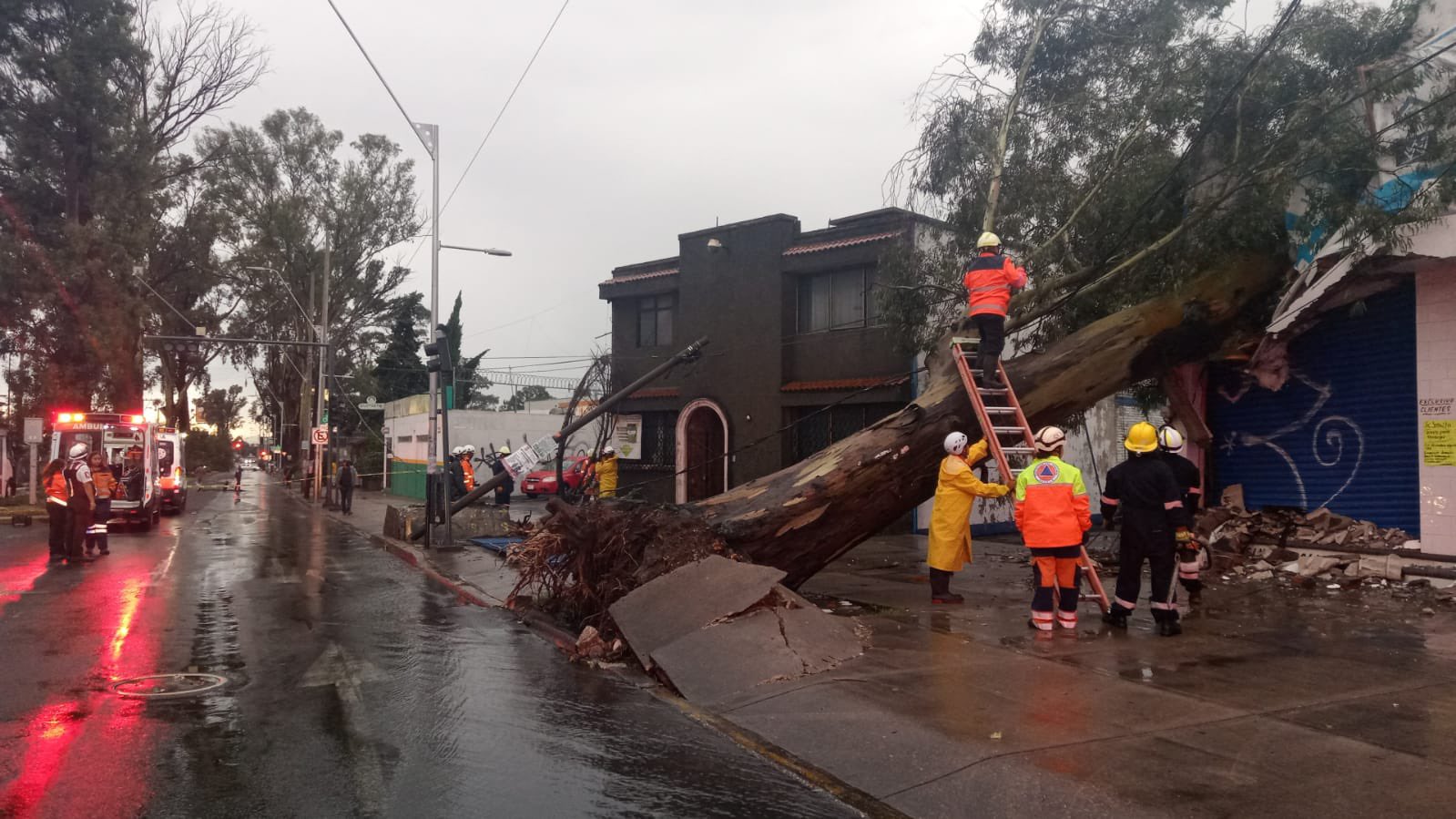 Fotonota: Tromba : Tromba deja 5 vehículos varados y derriba 11 árboles o postes