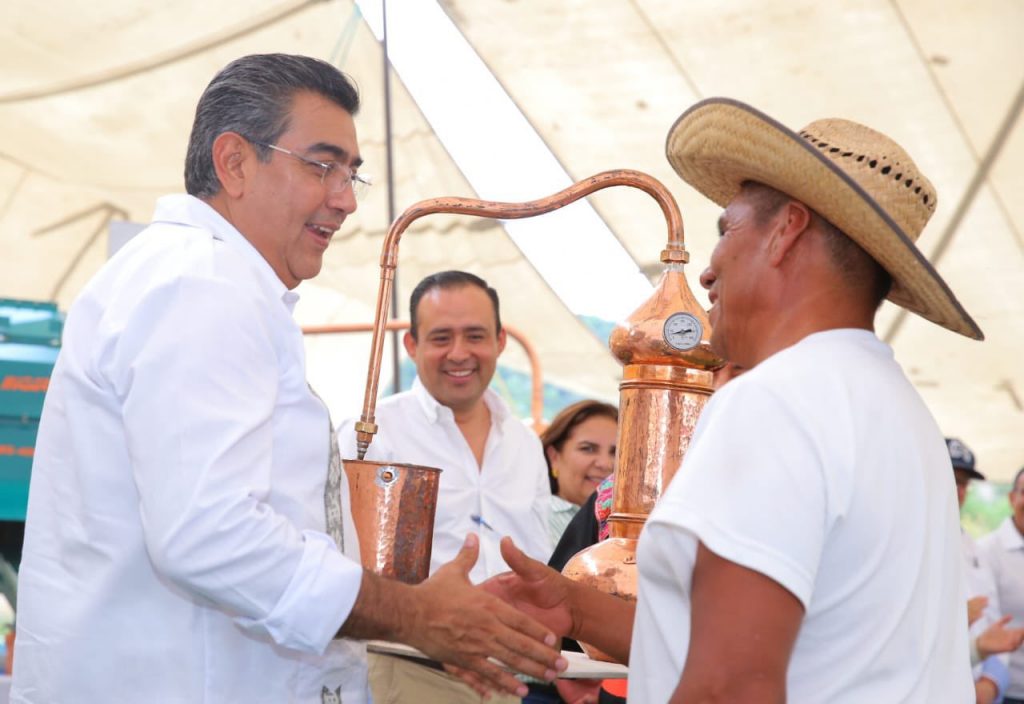 Inversión de 442 en agave mezcalero para la Mixteca, confirmó Sergio Salomón Céspedes