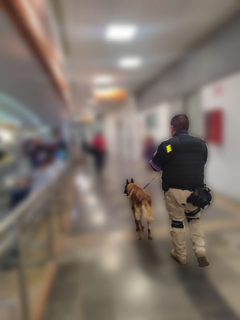 Decomisan más de 40 kgs de droga