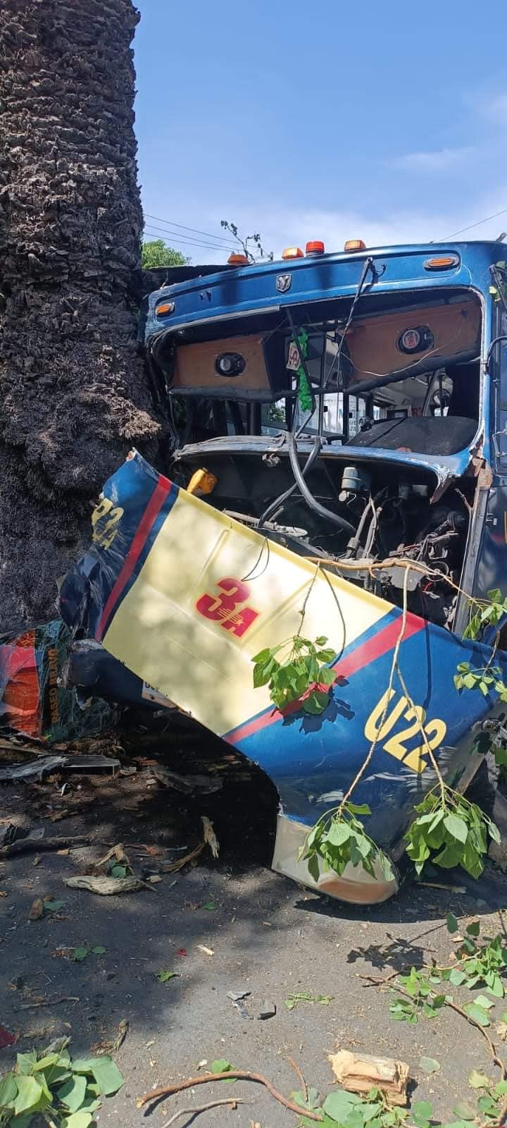 Fotonota: A micro de la ruta 3A se le cruza un árbol y 5 pasajeros salieron heridos
