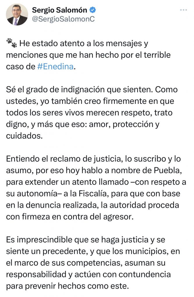 Sergio Salomón Céspedes pide a la FGE proceder contra el sujeto que golpeó a la perrita Enedina
