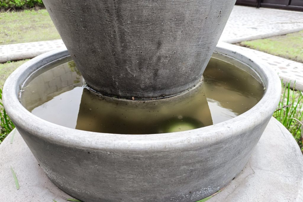 Puebla suma mil 528 casos de dengue 