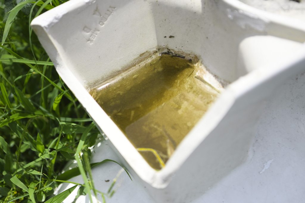 Sube a 81 la cifra de municipios poblanos con dengue: Salud