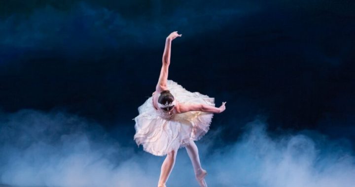 La Compañía Nacional de Danza presentará la suite de El lago de los cisnes y Carmen en el Teatro del Bosque Julio Castillo