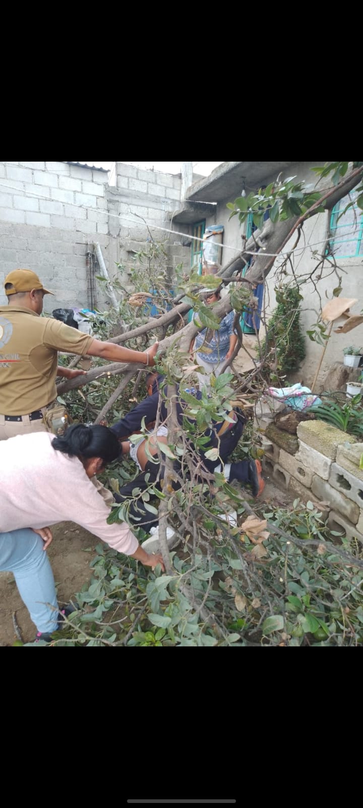 Por intentar cortar aguacates cae de una altura de 5 metros en Chachapa, Amozoc