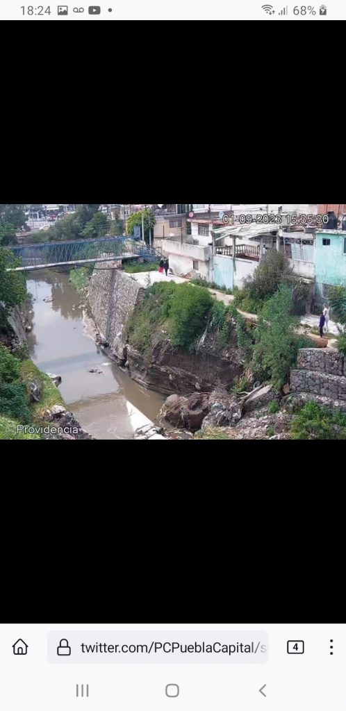 Video desde Puebla: Lluvias deja encharcamientos y caídas de árboles