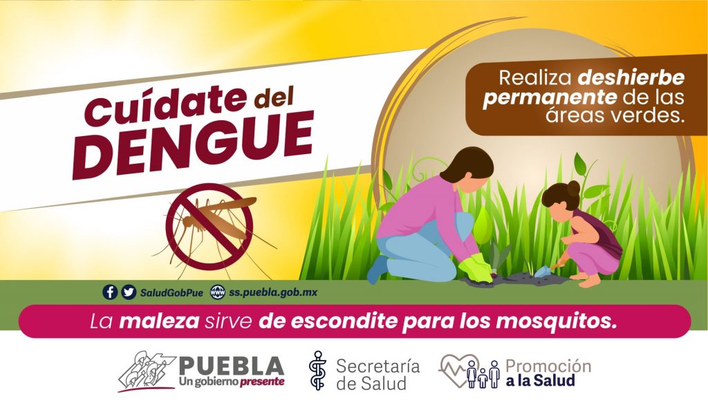 Puebla acumula 4 fallecidos y 14 hospitalizados por dengue