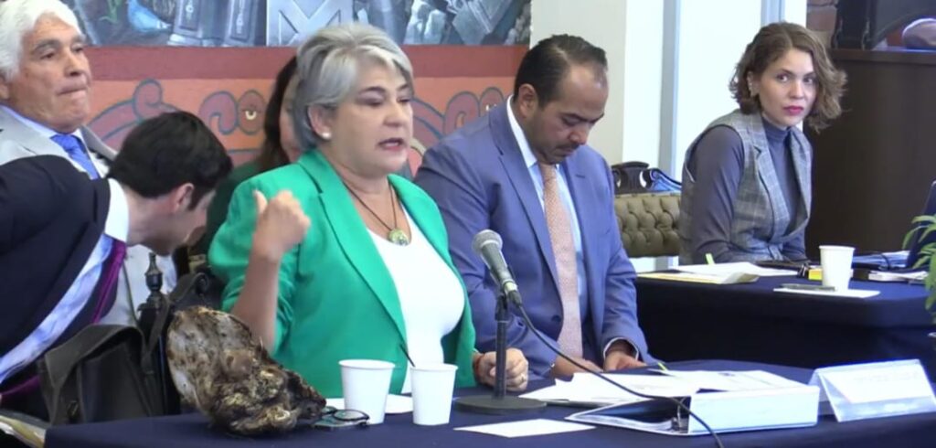 Se han colocado 17 denuncias por maltrato animal, indicó Myriam Arabian