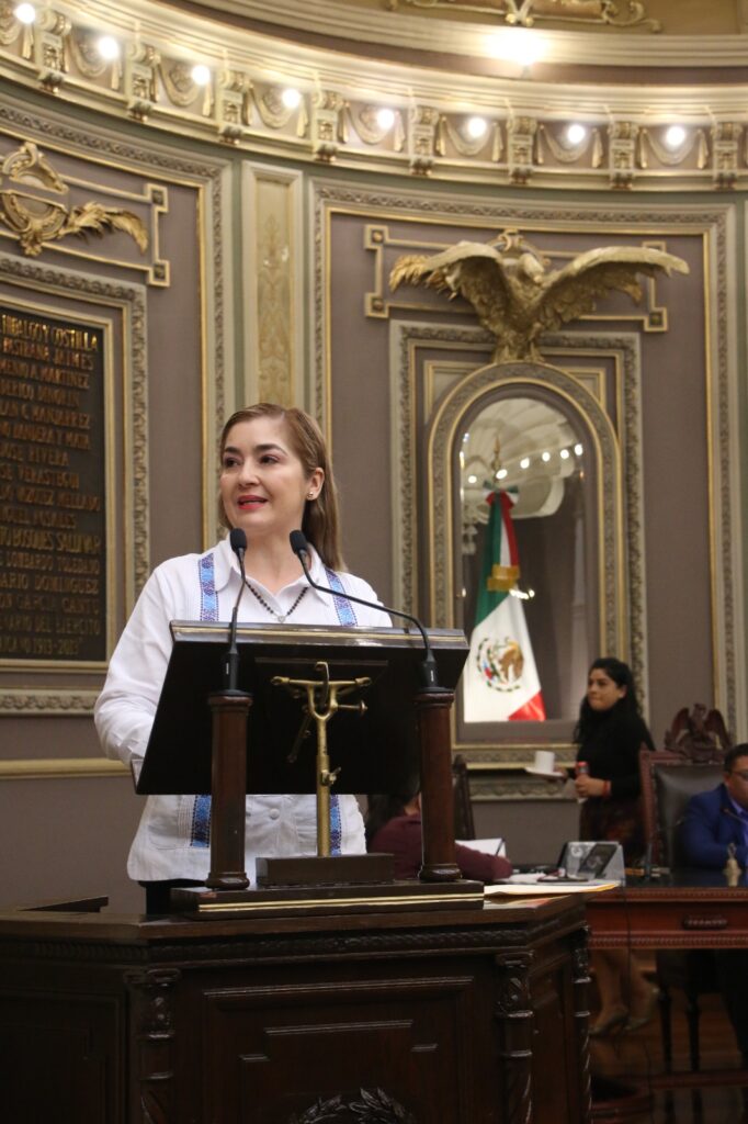 Impulsan en el Congreso acuerdo para garantizar accesibilidad de personas con discapacidad al transporte público