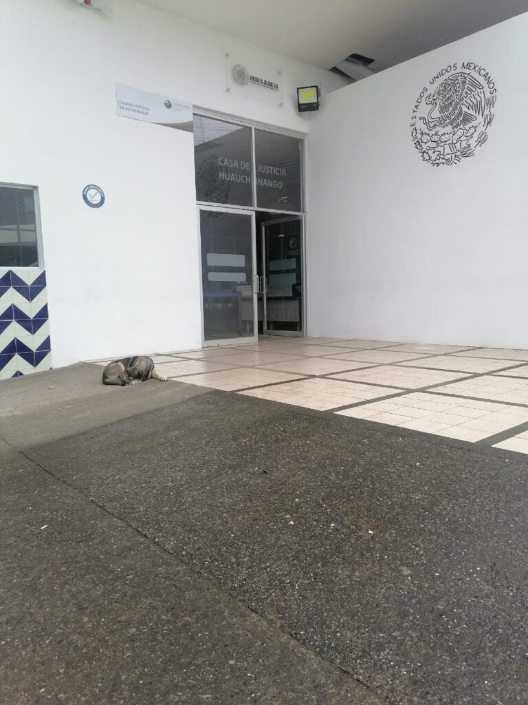 Vinculan a proceso a ex agentes del MP de Xicotepec; incluida la hija de López Zavala