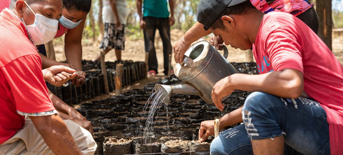 Reflexiones sobre la Semana del Clima de las Naciones Unidas para América Latina y el Caribe