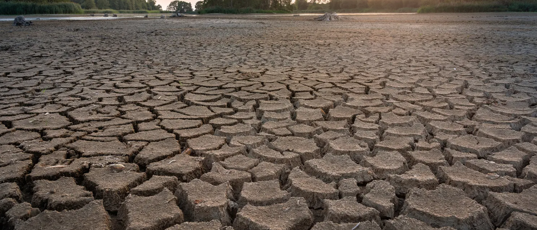 México tiene cada vez más sequías: expertos