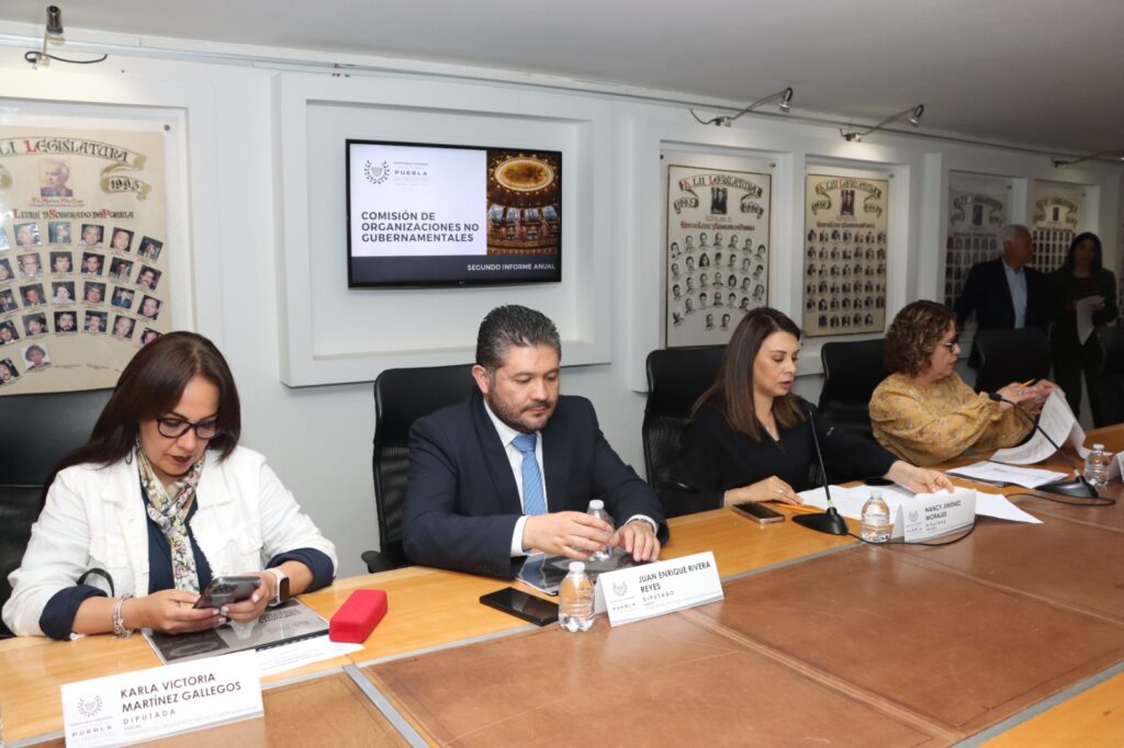 Presenta Comisión de Organizaciones No Gubernamentales del Congreso Informe Anual de Trabajo