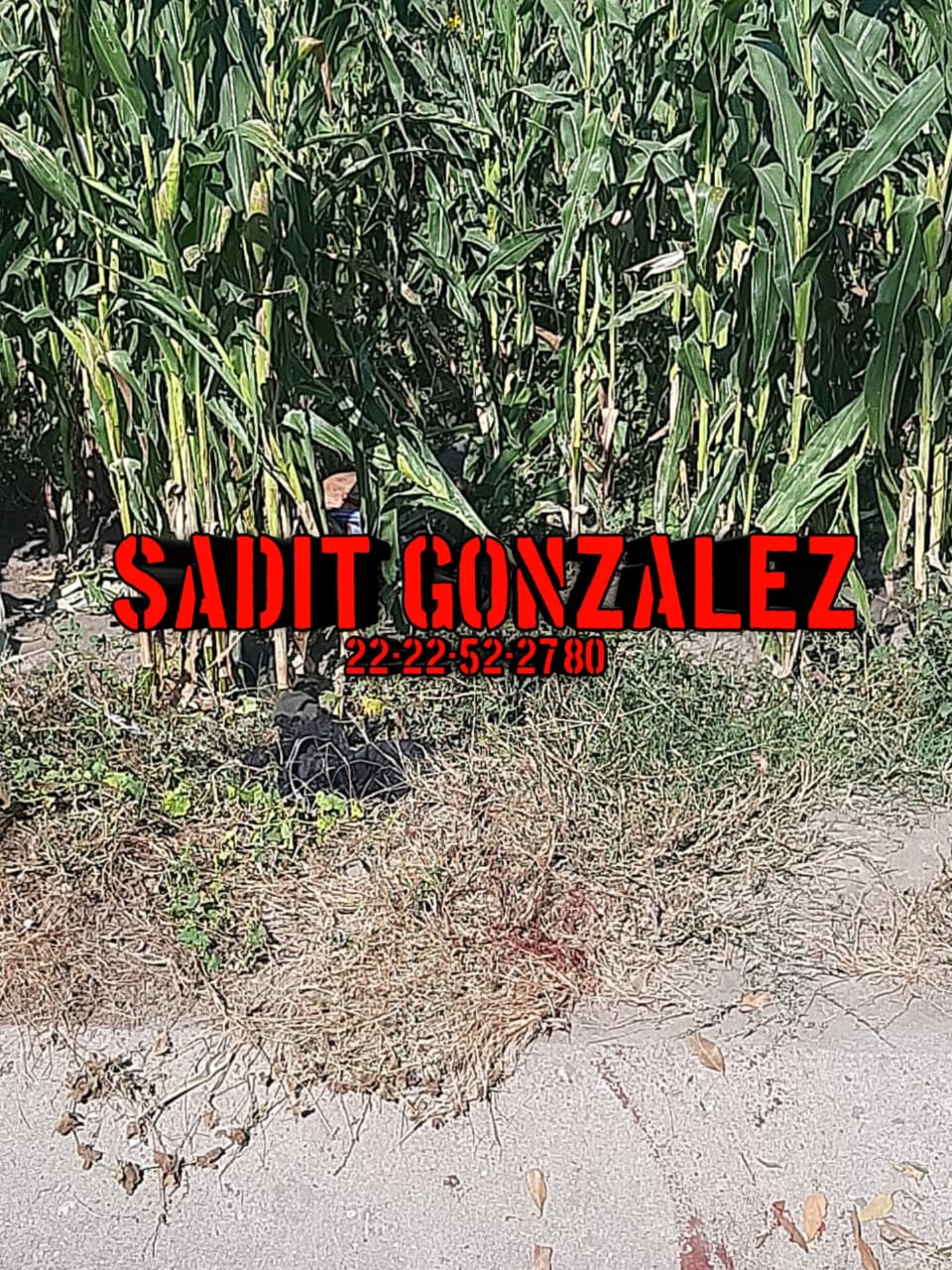 Tiran cadáver de un hombre en terrenos de siembra en Tecamachalco