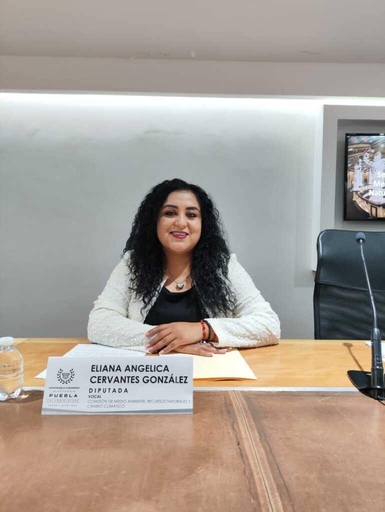 Pide Angélica Cervantes atender la crisis de inseguridad en Texmelucan