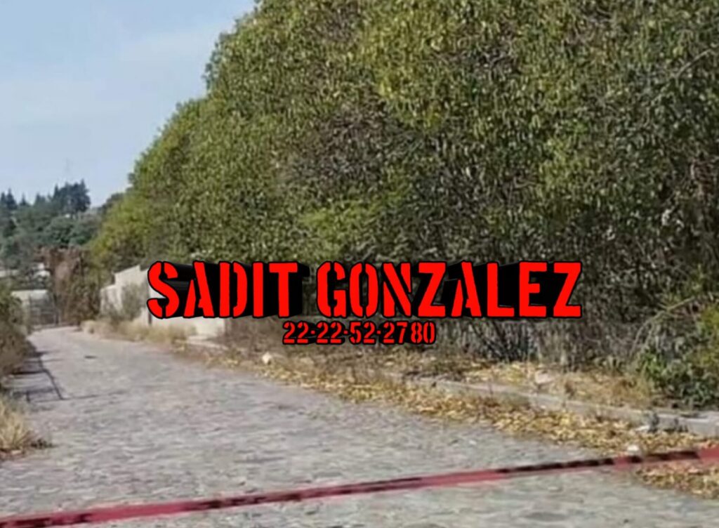 Ejecutado a balazos en su camioneta en Quecholac