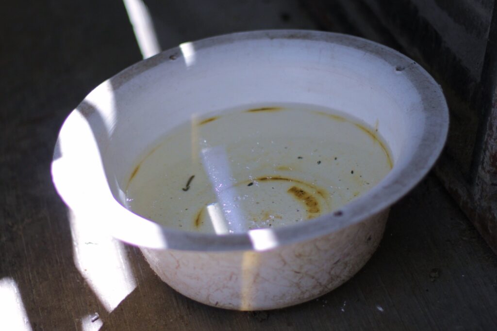 En Puebla, 107 municipios registran casos de dengue: Salud