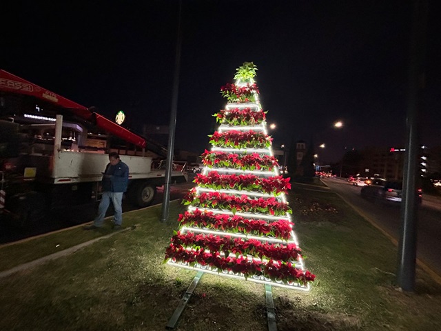 Gobierno municipal adorna el bulevar Hermanos Serdán con un árbol hecho de nochebuenas