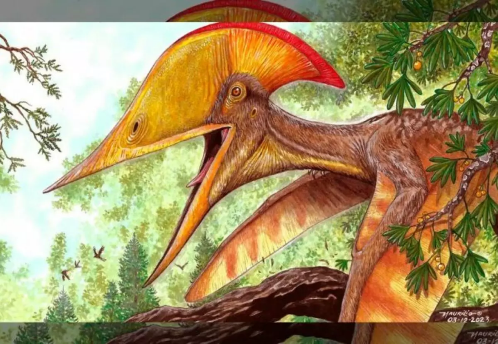 Científicos brasileños y chinos anuncian nueva especie de pterosaurio