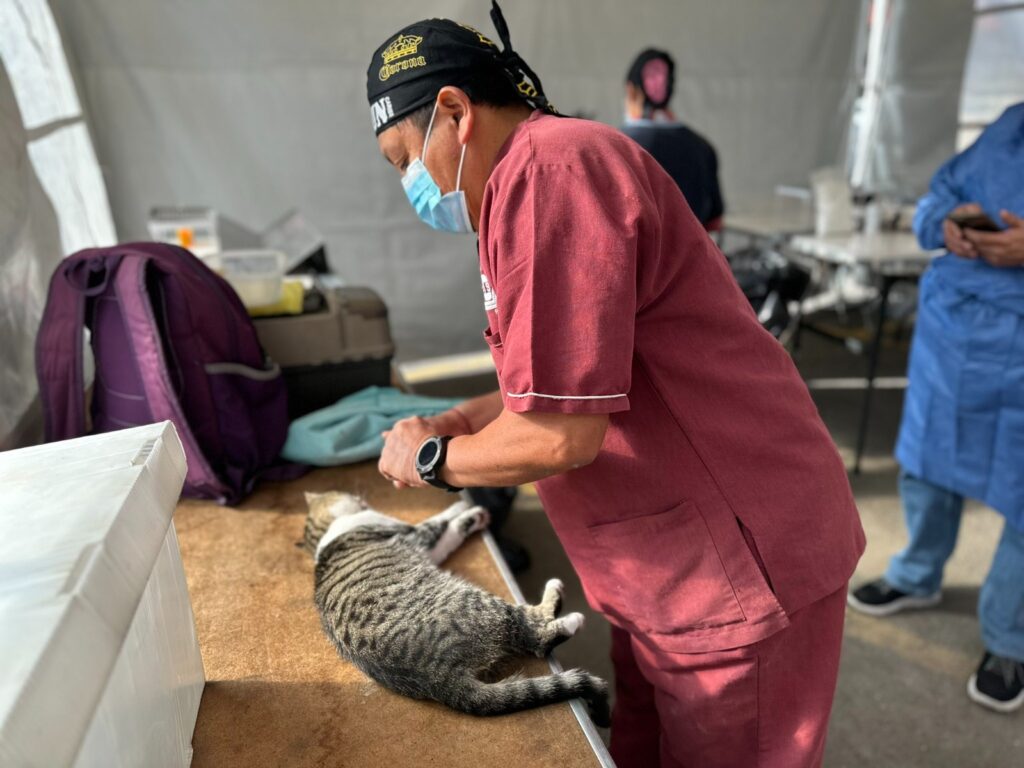 Por el bienestar de las familias, Paola Angon encabezó jornada de esterilización gratuita en Zerezotla