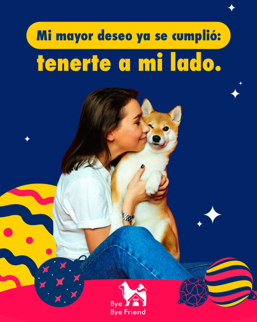 Navidad con los lomitos y michis