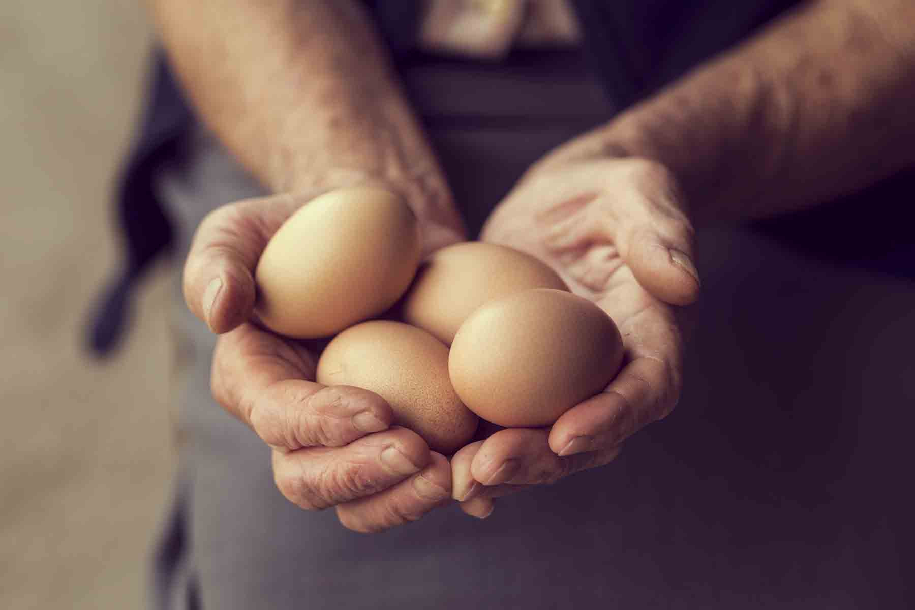 Huevo, un alimento sano y nutritivo