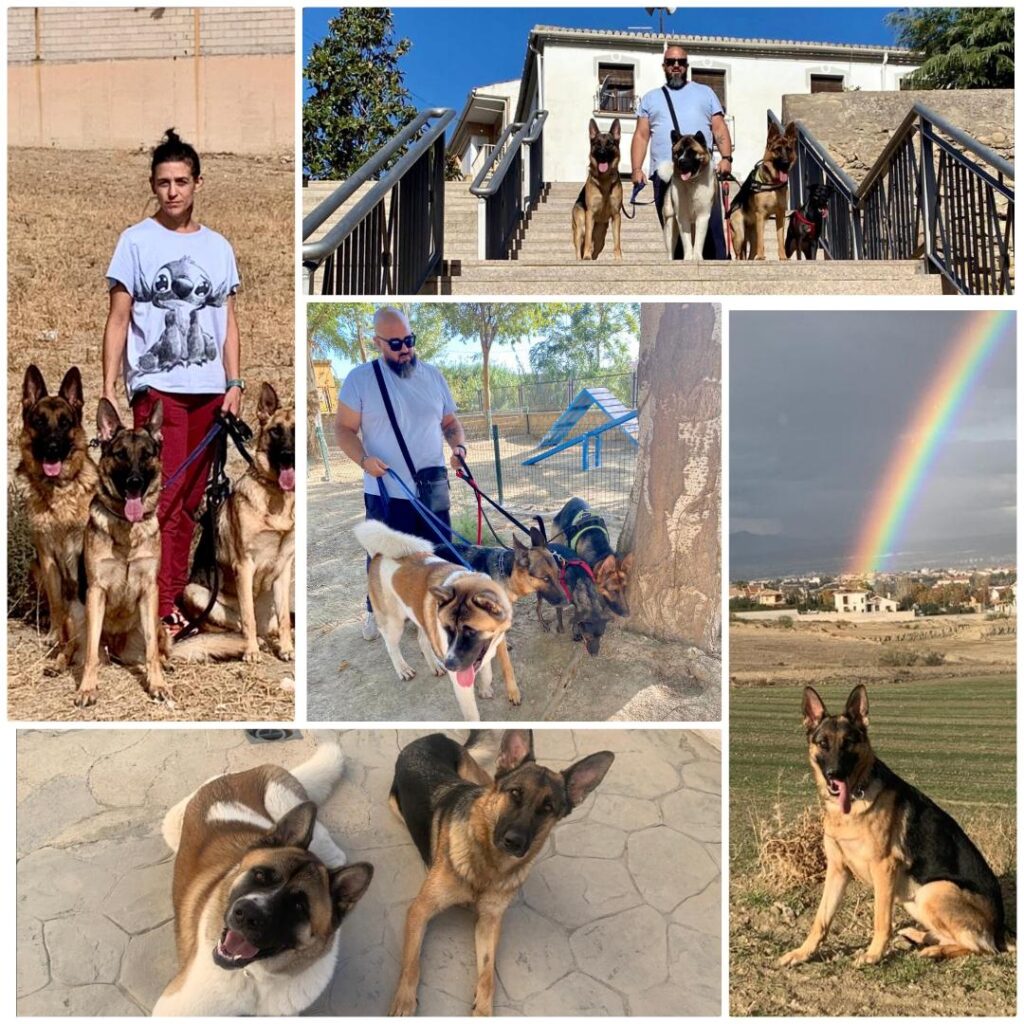 Nuestros peluditos y Armando; una ventana a la inocencia comprendida