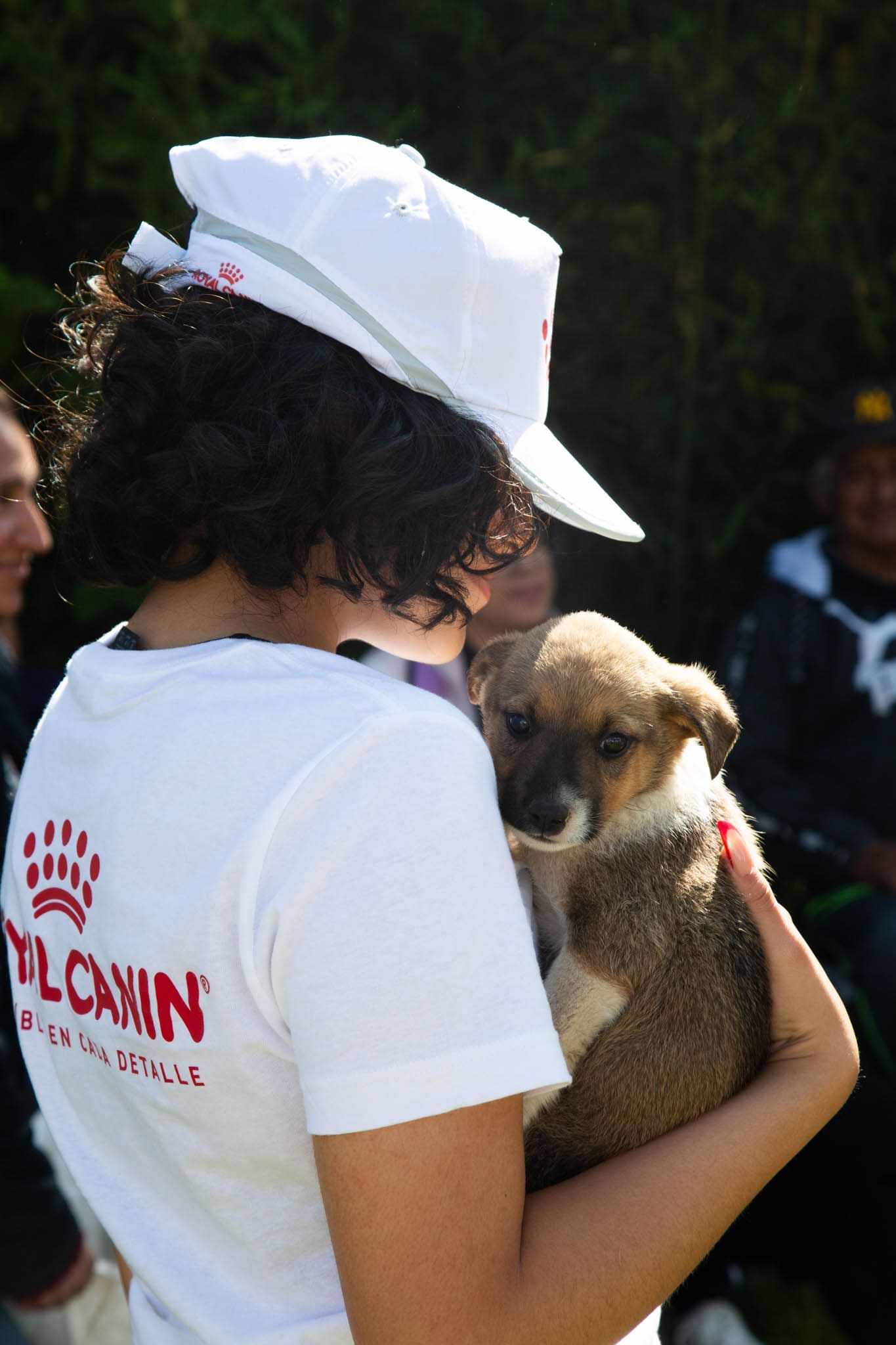 Superan meta de esterilizaciones gratuitas en Edomex 